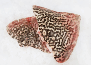 Capture d’écran 2025 11 17 120348